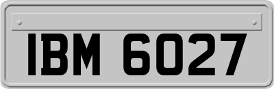 IBM6027