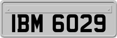 IBM6029