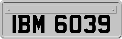 IBM6039