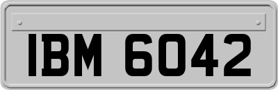 IBM6042