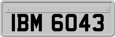 IBM6043