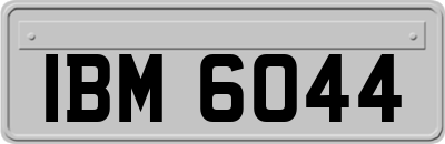 IBM6044