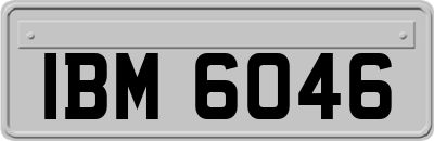 IBM6046