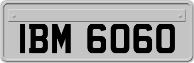 IBM6060