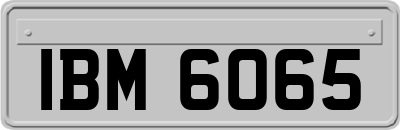 IBM6065