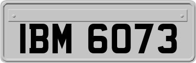 IBM6073