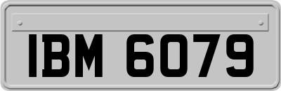 IBM6079