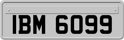 IBM6099