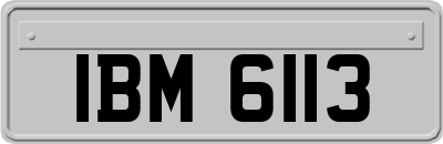 IBM6113