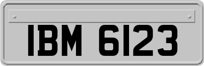 IBM6123