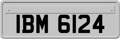 IBM6124