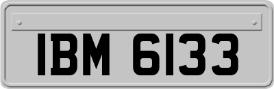 IBM6133