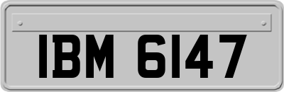 IBM6147