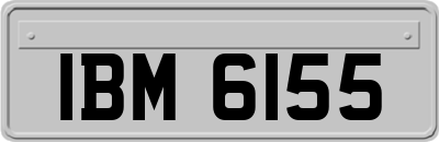 IBM6155