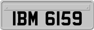 IBM6159