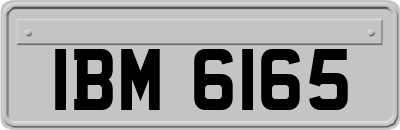 IBM6165