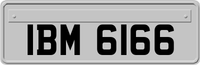 IBM6166