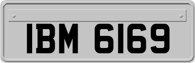 IBM6169