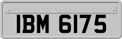 IBM6175