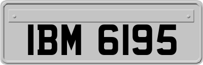 IBM6195