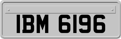 IBM6196