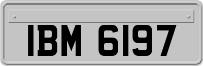 IBM6197