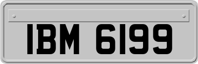 IBM6199