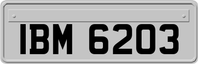 IBM6203