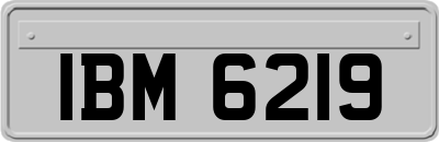 IBM6219