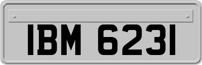 IBM6231