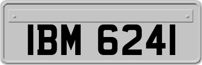 IBM6241