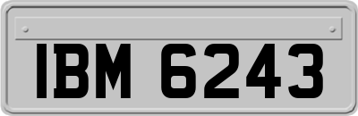 IBM6243