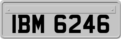 IBM6246