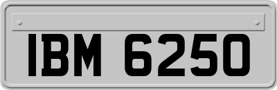 IBM6250