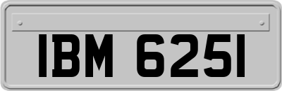 IBM6251