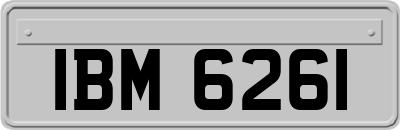 IBM6261