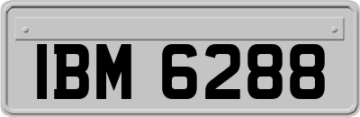 IBM6288