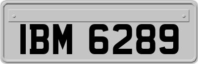 IBM6289