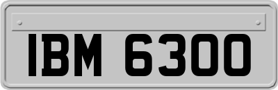 IBM6300