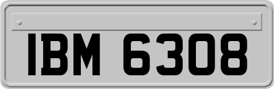 IBM6308