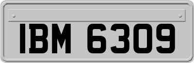 IBM6309