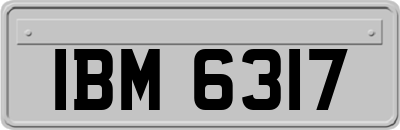 IBM6317