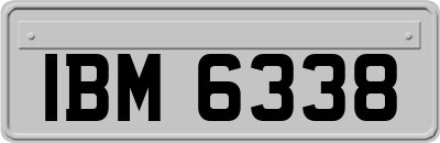 IBM6338