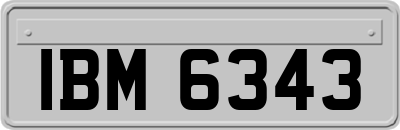 IBM6343