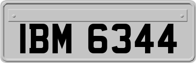 IBM6344