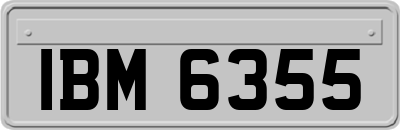 IBM6355