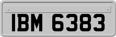 IBM6383