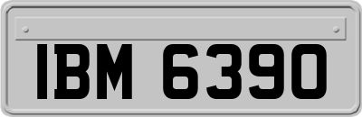 IBM6390