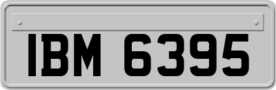 IBM6395