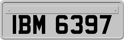 IBM6397